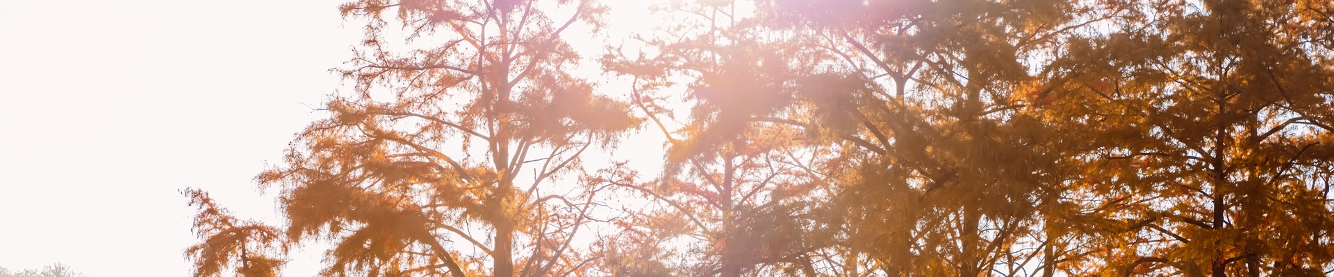 Our Moods, Our Seasons